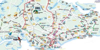 Hartën e rrugës të Singaporit