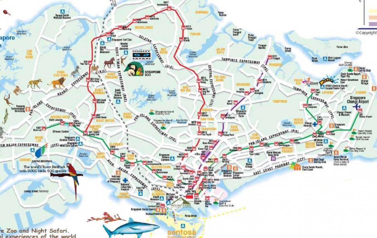 hartën e rrugës të Singaporit